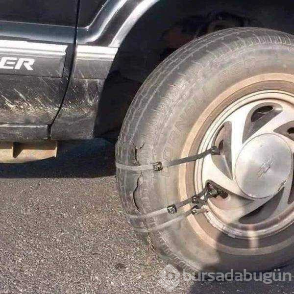 Günün en çok paylaşılan fotoğrafları
