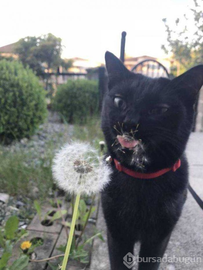 Günün en çok paylaşılan fotoğrafları
