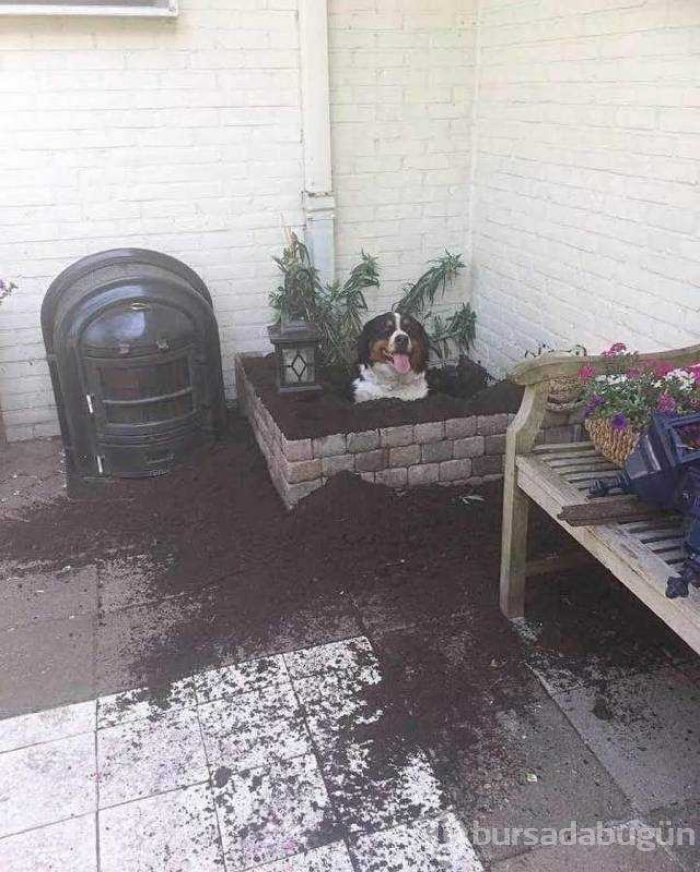 Günün en çok paylaşılan fotoğrafları
