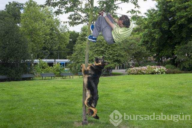 Günün en çok paylaşılan fotoğrafları
