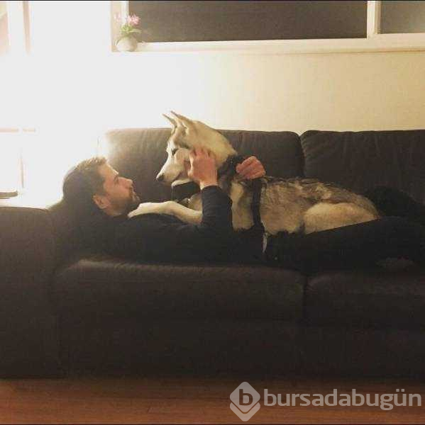 İnsanlar ve hayvanlar arasınaki dotluk