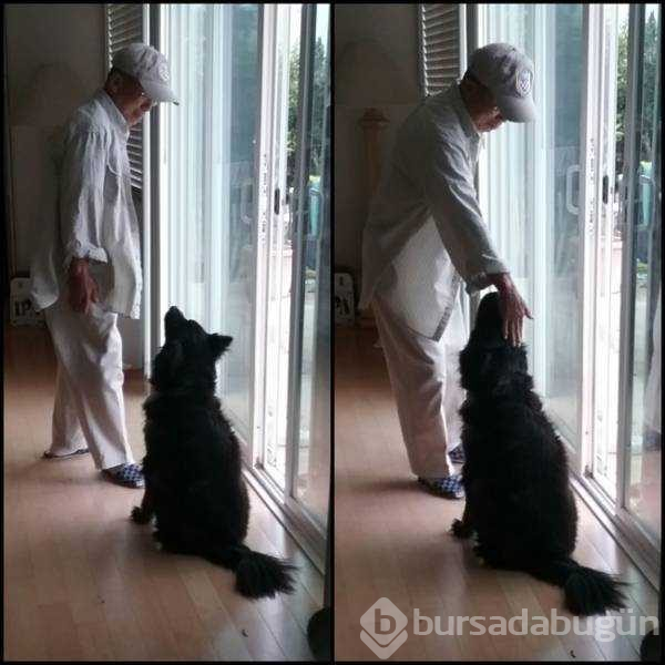 İnsanlar ve hayvanlar arasınaki dotluk