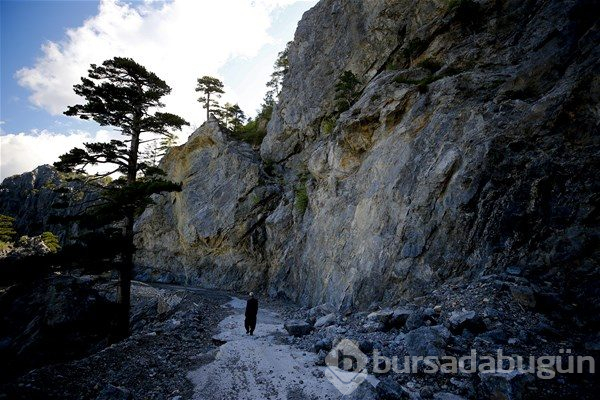 Türkiye`nin en tehlikeli yolları