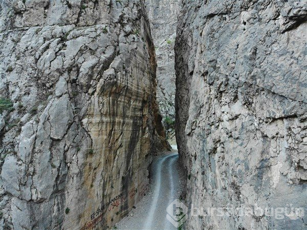Türkiye`nin en tehlikeli yolları