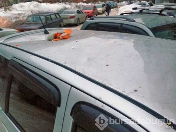 Hatalı park etmenin cezası çok ağır oldu