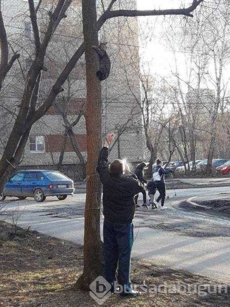 Rusların günlük hayatından akıl almaz kareler