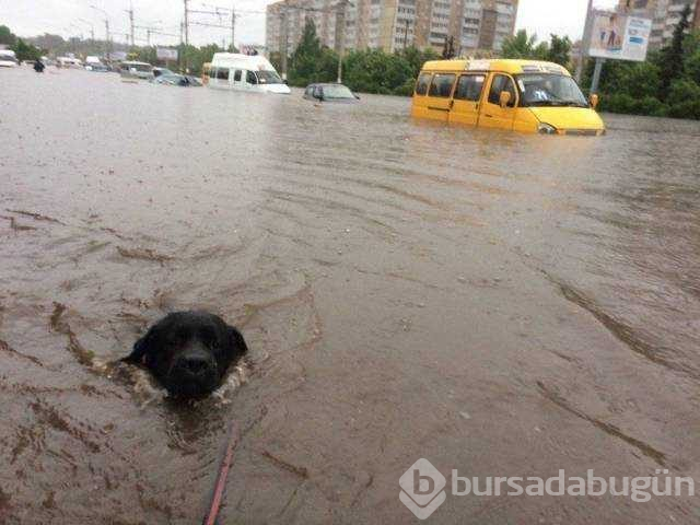 Günün en çok paylaşılan fotoğrafları
