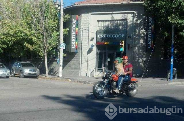 Günün en çok paylaşılan fotoğrafları
