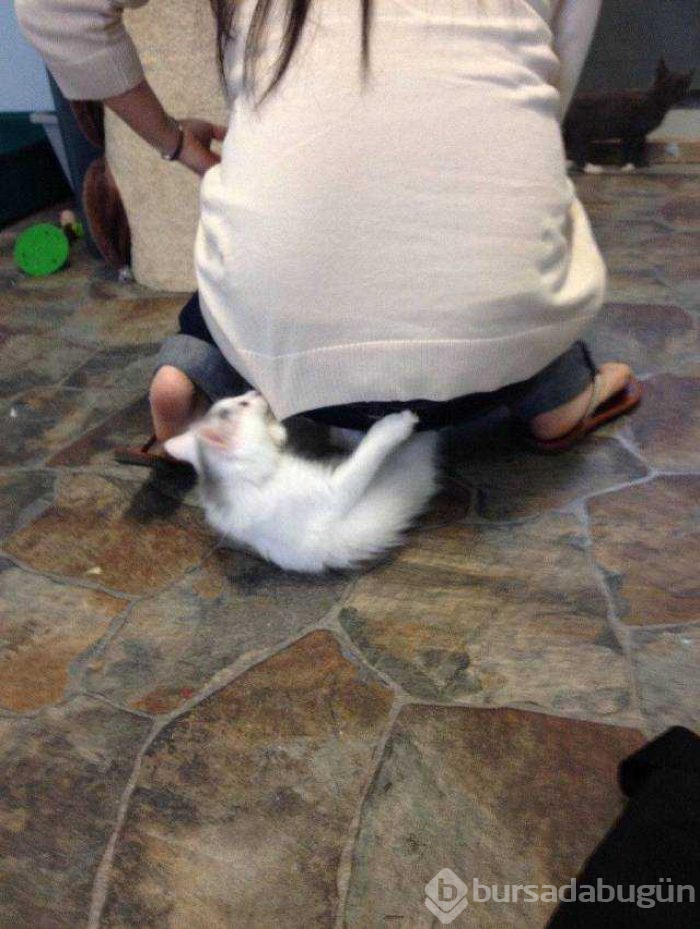 Günün en çok paylaşılan fotoğrafları
