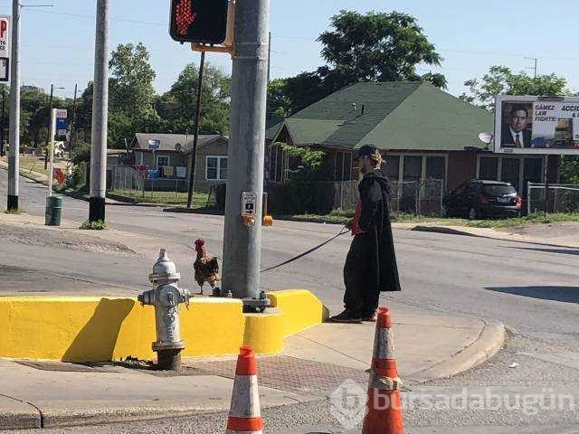 Günün en çok paylaşılan fotoğrafları
