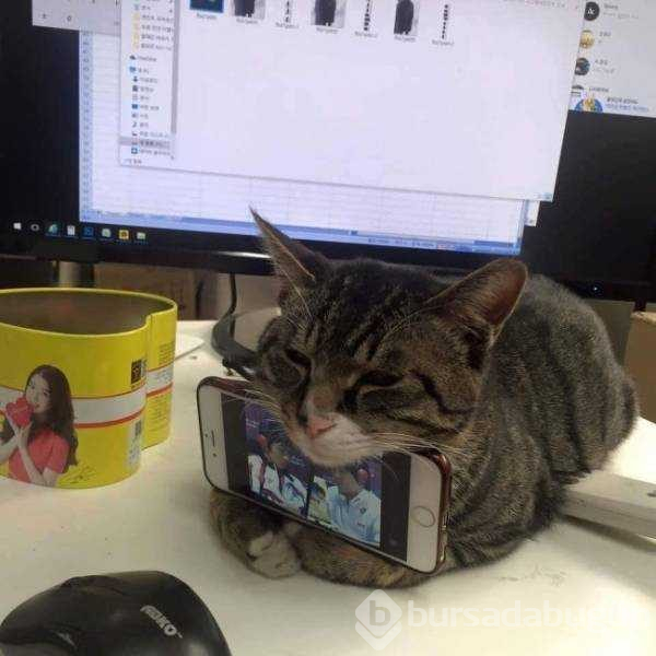 Günün en çok paylaşılan fotoğrafları

