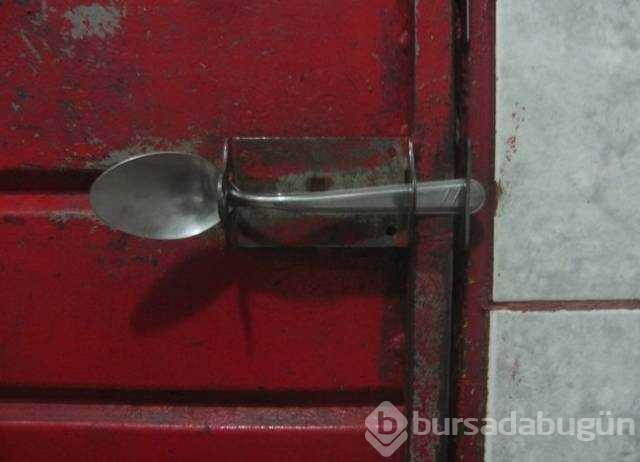 Günün en çok paylaşılan fotoğrafları

