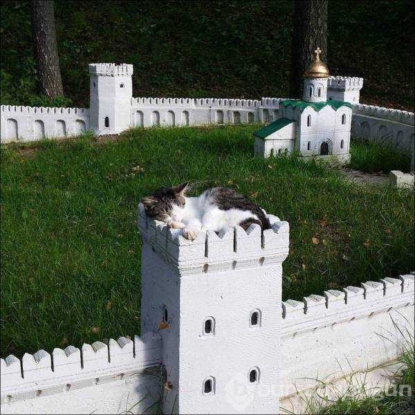 Günün en çok paylaşılan fotoğrafları
