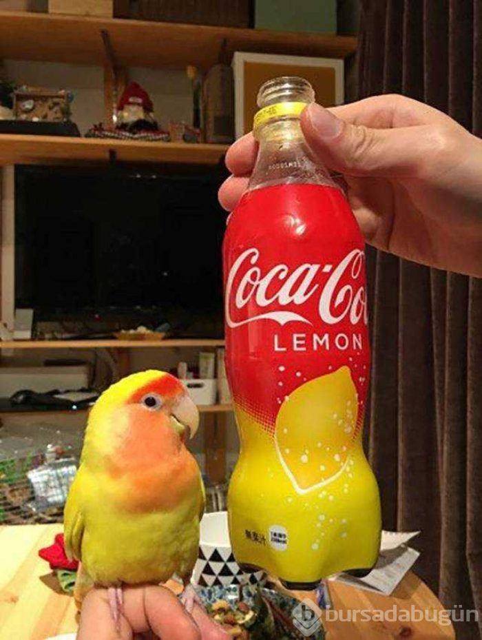 Günün en çok paylaşılan fotoğrafları

