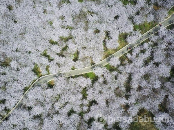 Çin`den gelen garip fotoğraflar