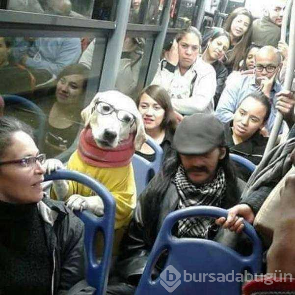 Günün en çok paylaşılan fotoğrafları