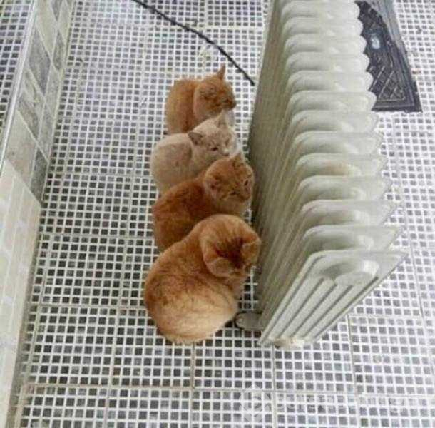 Günün en çok paylaşılan fotoğrafları