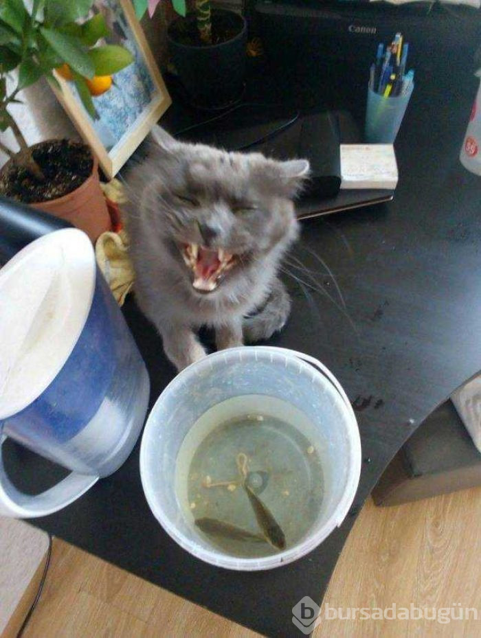 Günün en çok paylaşılan fotoğrafları