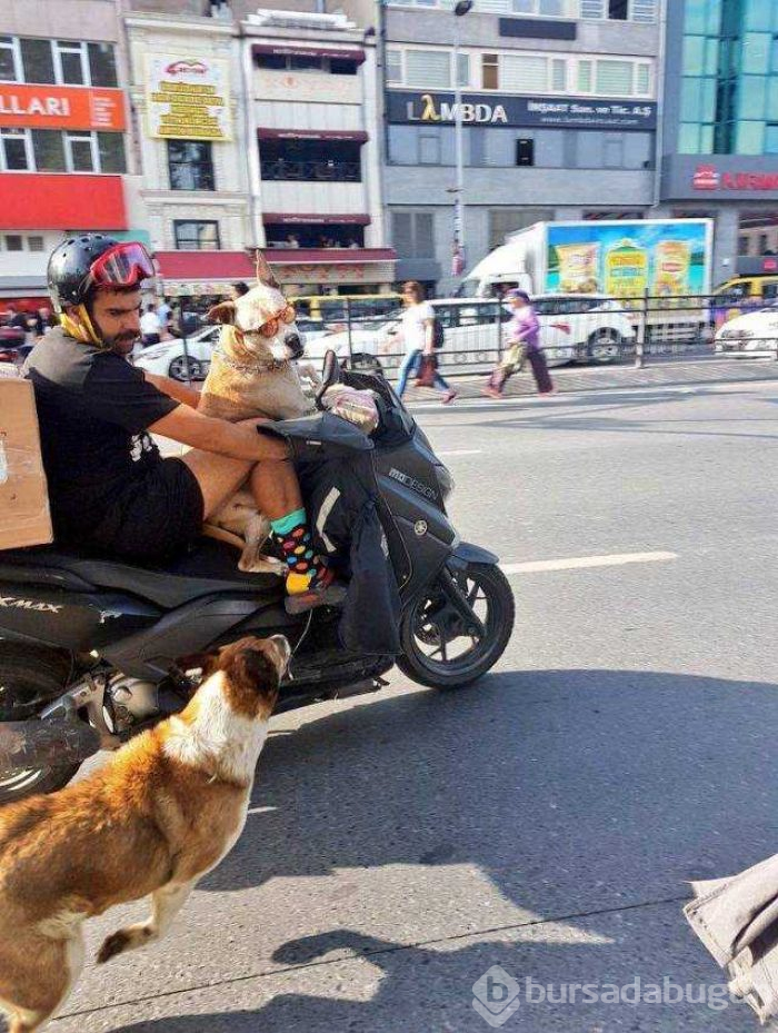 Günün en çok paylaşılan fotoğrafları