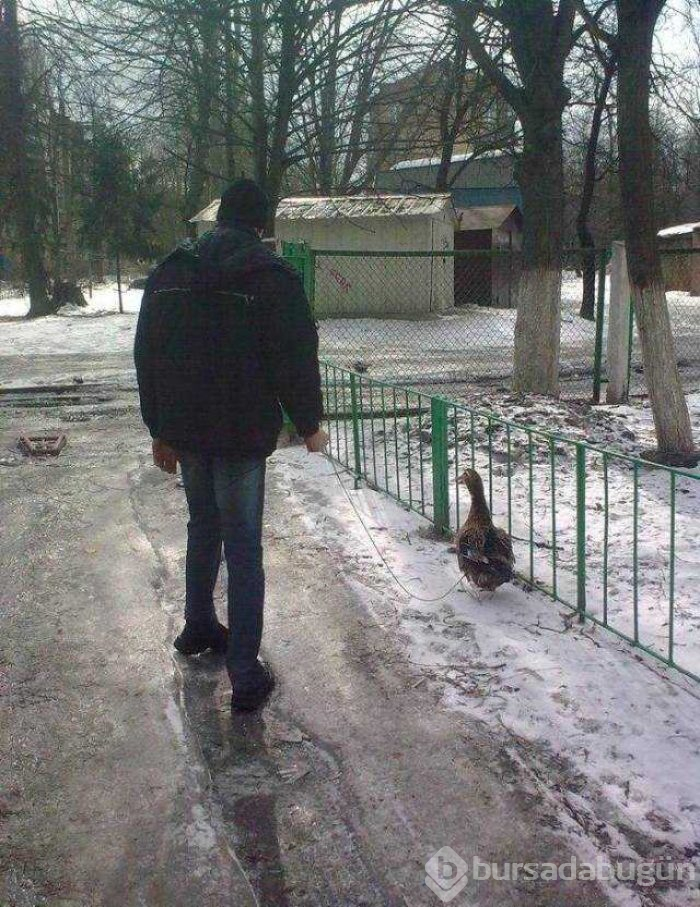 Günün en çok paylaşılan fotoğrafları