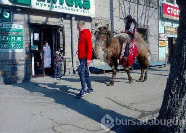 Sadece Rusya'da