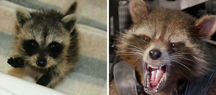 Yenilmezler (Avengers) karakterlerinin çocukluk fotoğrafları