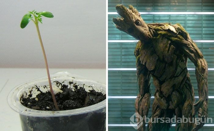 Yenilmezler (Avengers) karakterlerinin çocukluk fotoğrafları