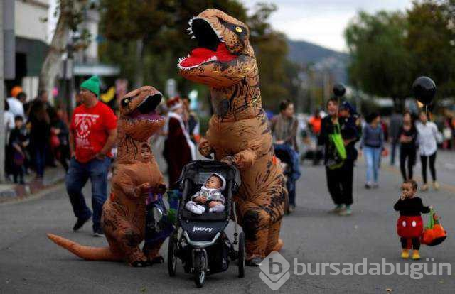 Günün en çok paylaşılan fotoğrafları
