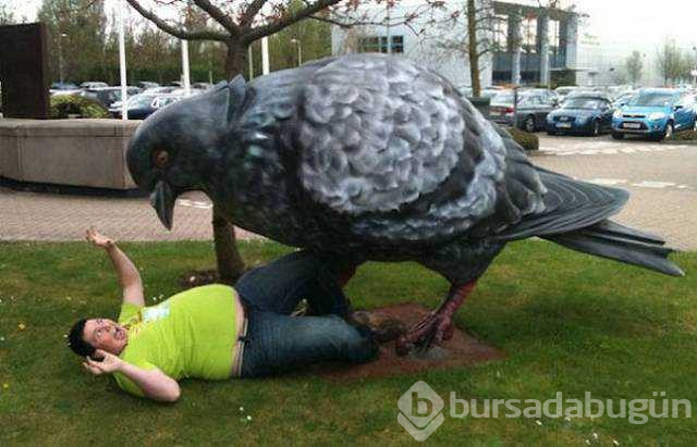 Günün en çok paylaşılan fotoğrafları
