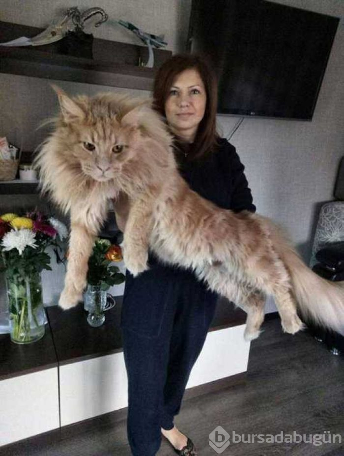 Günün en çok paylaşılan fotoğrafları
