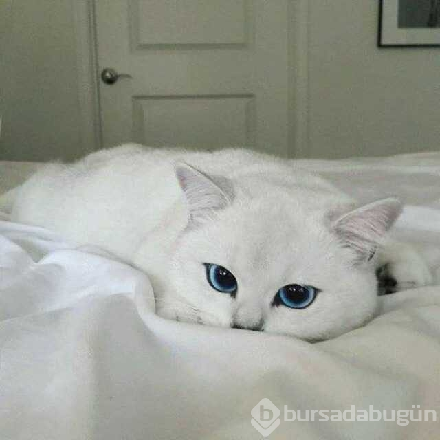 Günün en çok paylaşılan fotoğrafları
