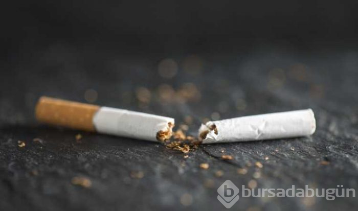 7 gün boyunca domates yemenin faydaları