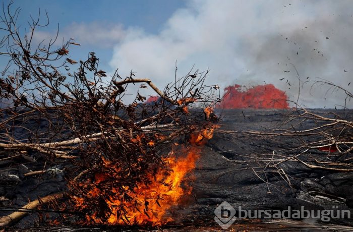 Hawaii'de lavlar santrale ulaştı
