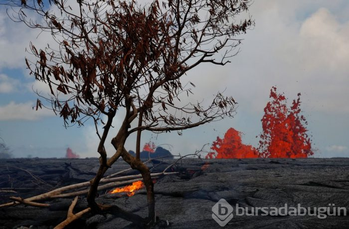 Hawaii'de lavlar santrale ulaştı