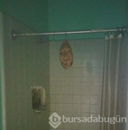 Dünyanın en korkutucu anları