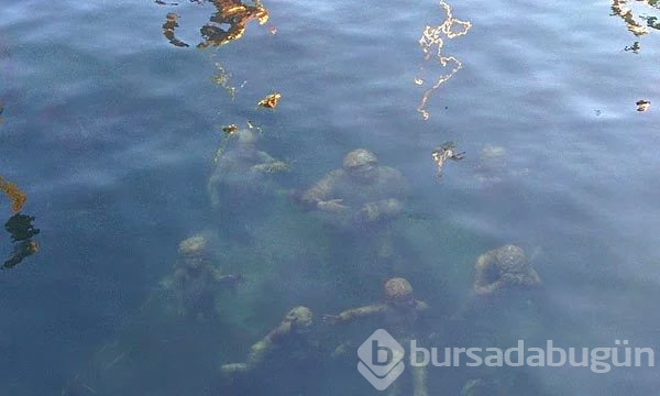 Dünyanın en korkutucu anları
