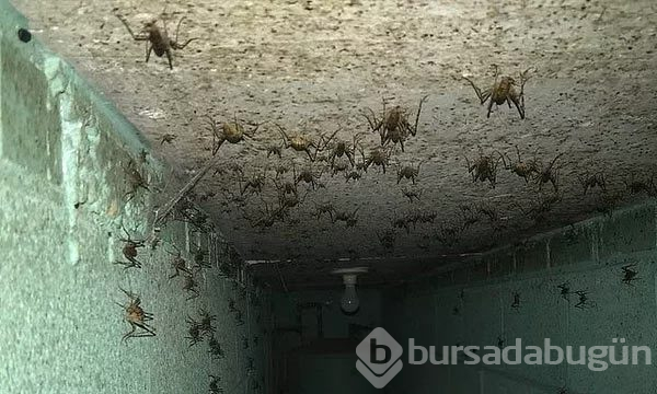Dünyanın en korkutucu anları
