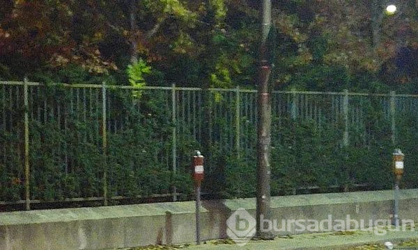 Dünyanın en korkutucu anları