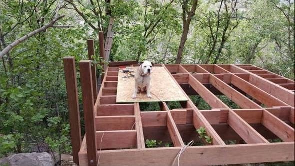 Çocukları istedi, babaları yaptı! Bu kadarını beklemiyorlardı!