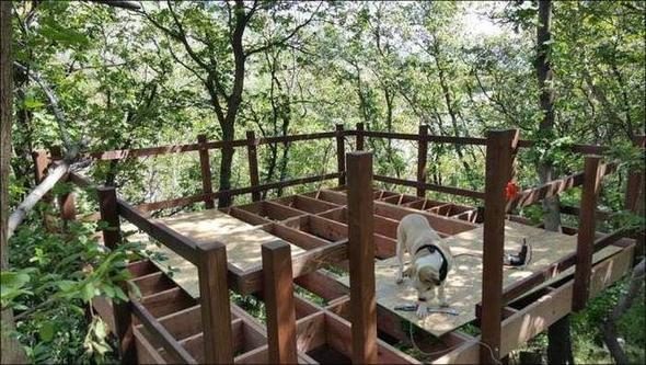 Çocukları istedi, babaları yaptı! Bu kadarını beklemiyorlardı!