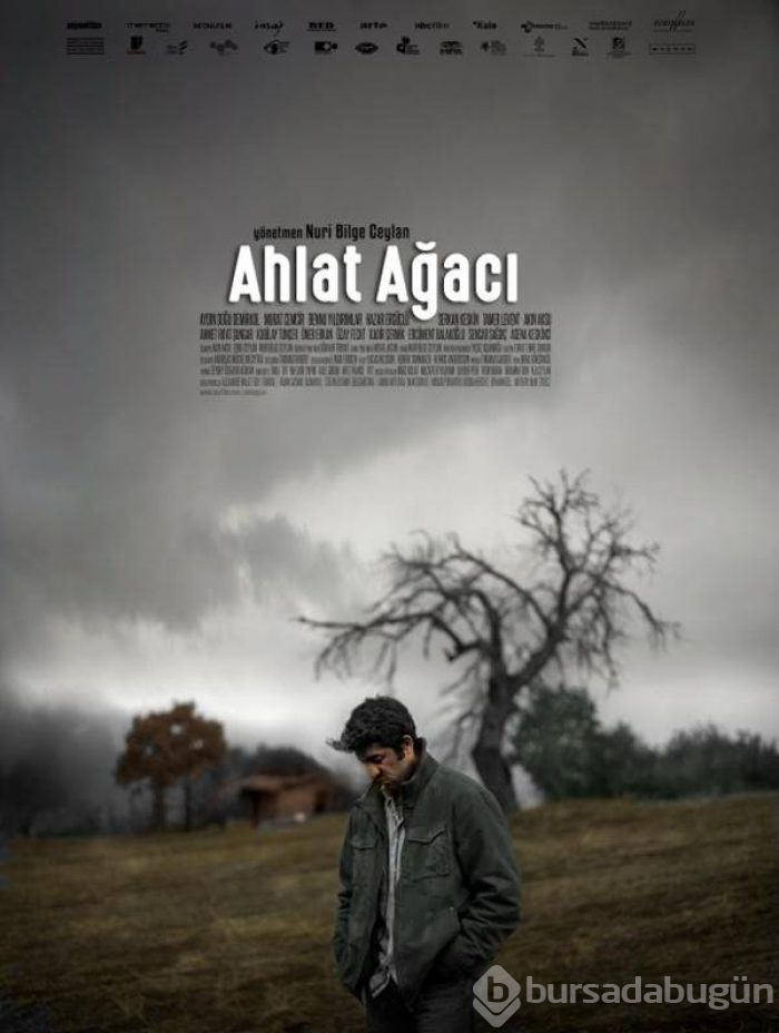 Ahlat Ağacı