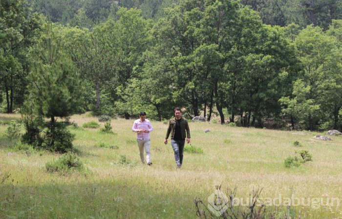 Bursa'da yaban hayatını foto kapan ve kamerayla görüntüledi