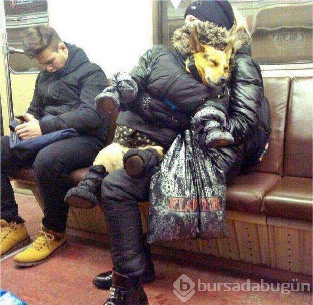 Günün en çok paylaşılan fotoğrafları