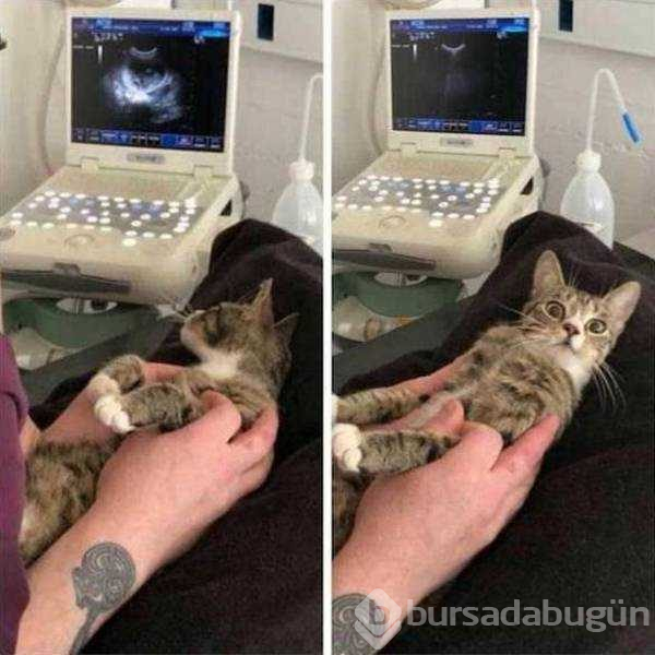 Günün en çok paylaşılan fotoğrafları