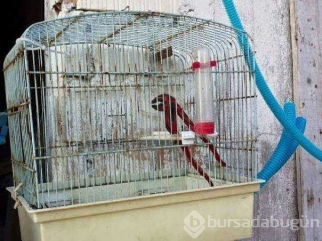 Günün en çok paylaşılan fotoğrafları