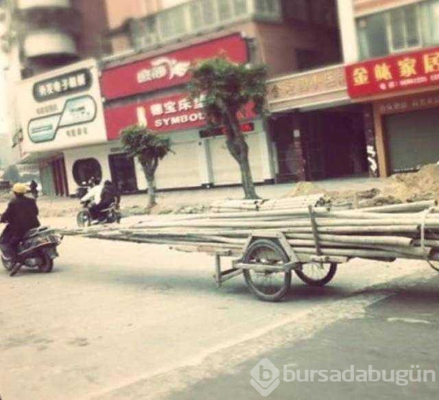 Günün en çok paylaşılan fotoğrafları
