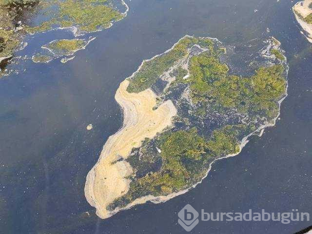 Günün en çok paylaşılan fotoğrafları