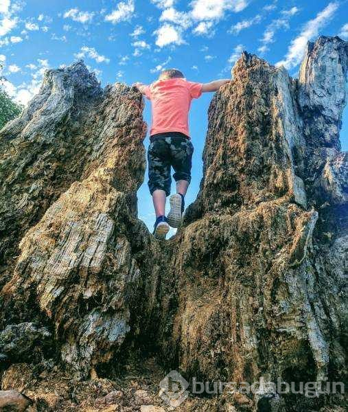 Günün en çok paylaşılan fotoğrafları