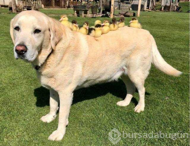 Günün en çok paylaşılan fotoğrafları