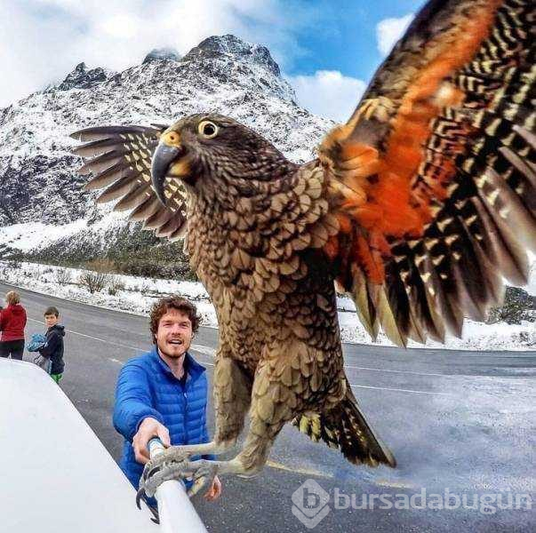 Günün en çok paylaşılan fotoğrafları